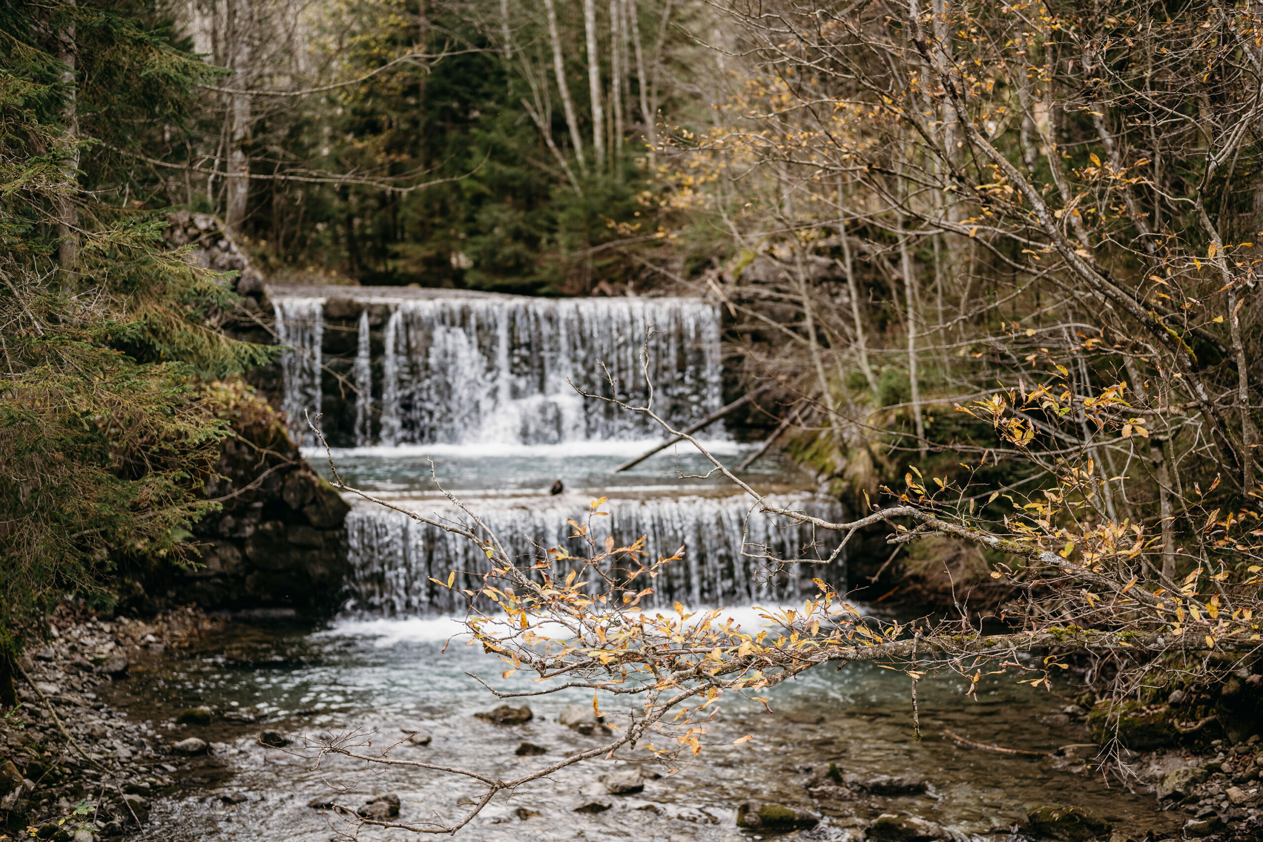 A photo of a river running downwards surrounded by trees in the fall.